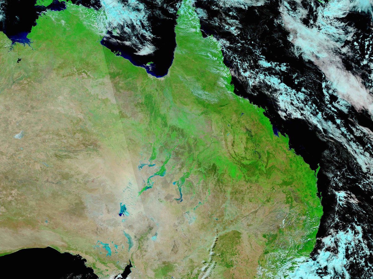 Market Check tweet media