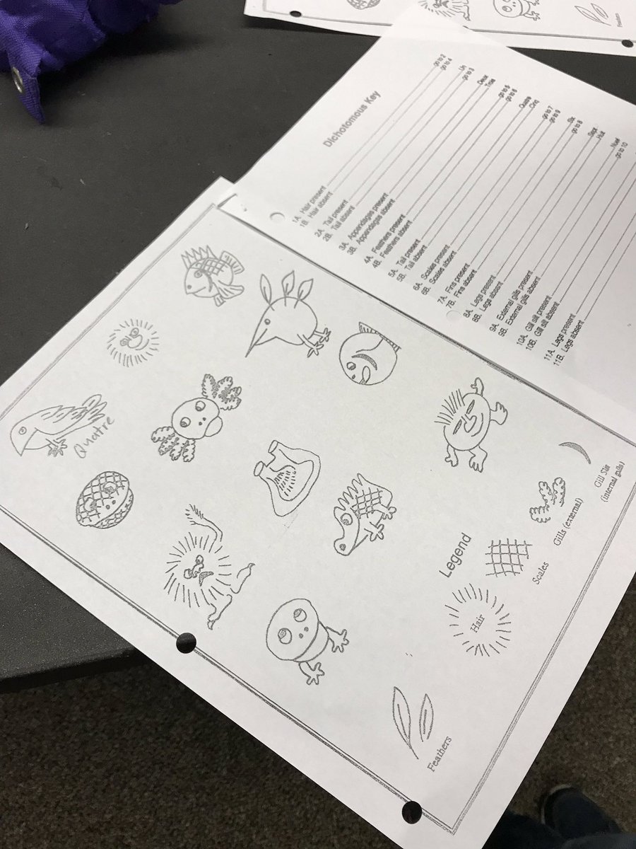 tbishoptheresa's tweet photo. Ss use a Dichotomous Key to determine the identity of newly discovered (fictitious ๐) organisms. #CISClassact https://t.co/rnOq0mkV3M