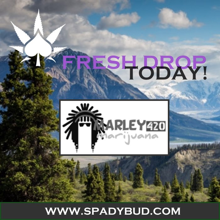 The #SpadyBud Family have a very special day today! We're wishing Helen, one of our owners, a very Happy Birthday!! We're also making 1 #FreshDrop stop today &amp; #Marley420Marijuana in #Covington is that 1! #BestQualityGardens #BQGardens #BQG #420Life #Cannabis #I502Compliant