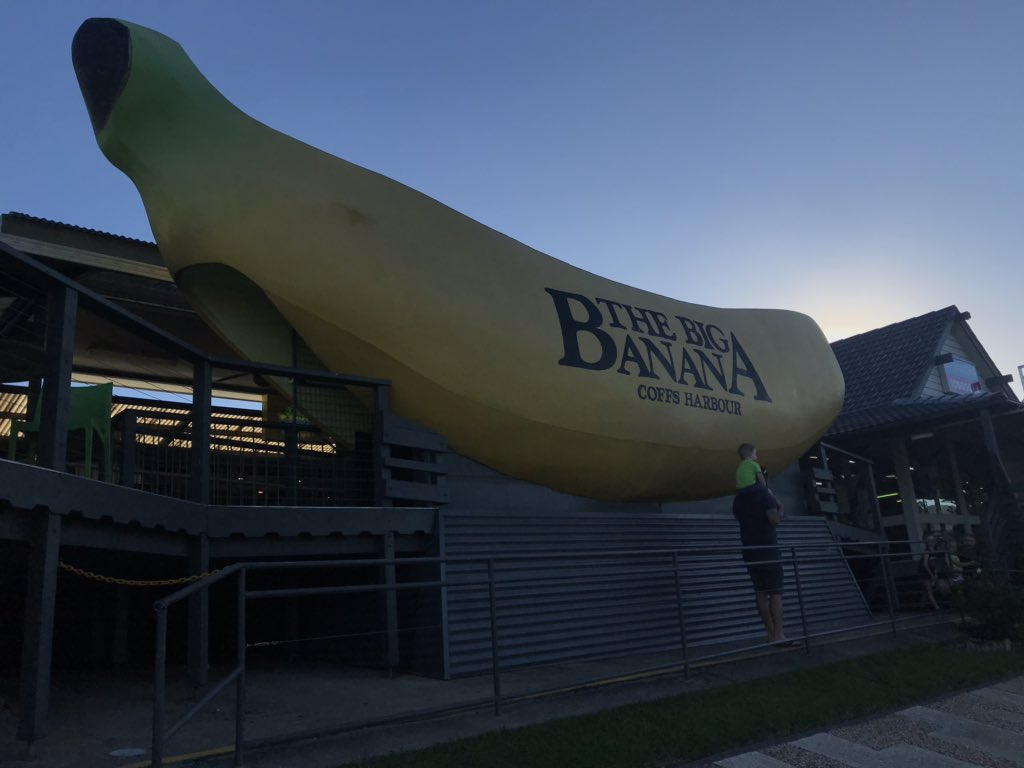 KambergSharon's tweet photo. @GaffreyGrade2 visited a banana plantation today!  They grow bananas like we grow oranges!  They dry them whole, they don’t look very tasty! https://t.co/6zuA37elgP