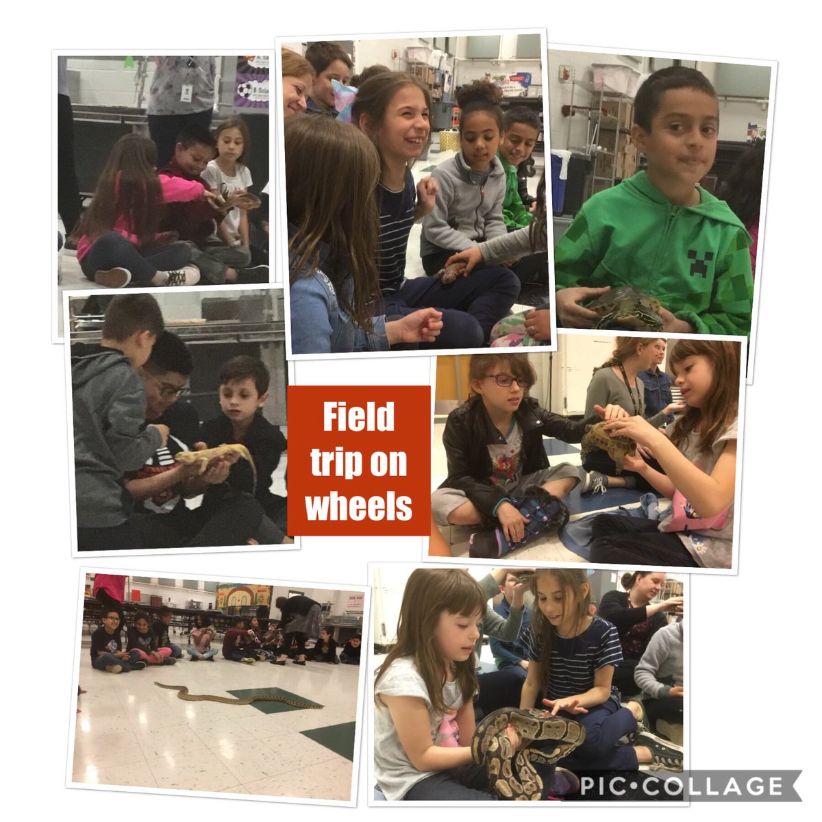 Theresa sayre tweet media