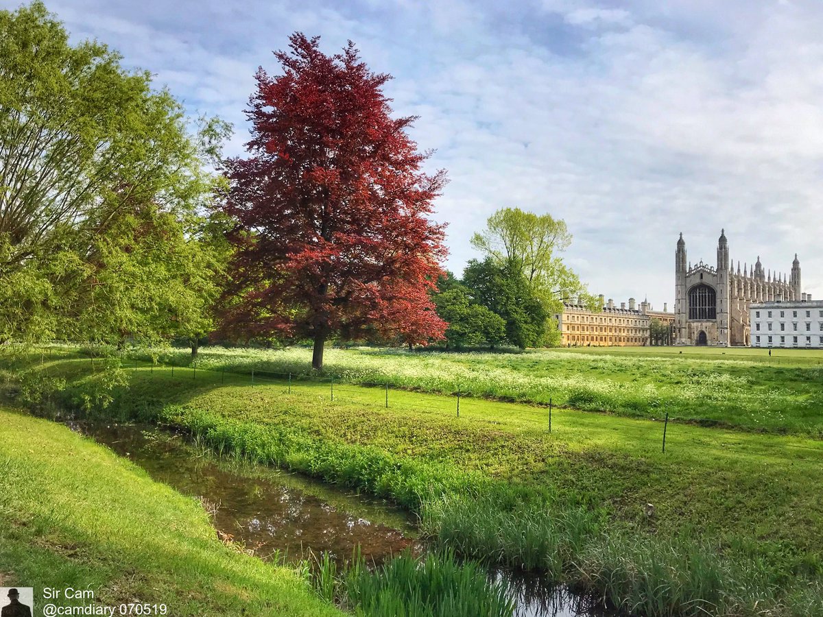 Can one get “bored” of beauty? instagram.com/camdiary #cambridge