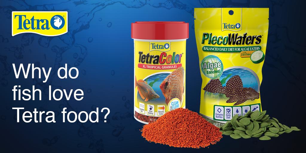 TetraFish's tweet photo. Why do fish love #tetra food? Because its high-quality, pure raw materials allow bright colors that are more attractive to fish.
Learn More here: https://t.co/WOqR9cB4DN
#aquariumtips #fishcaretips #fishkeepingtips #funfishfacts https://t.co/eirP24TwOz