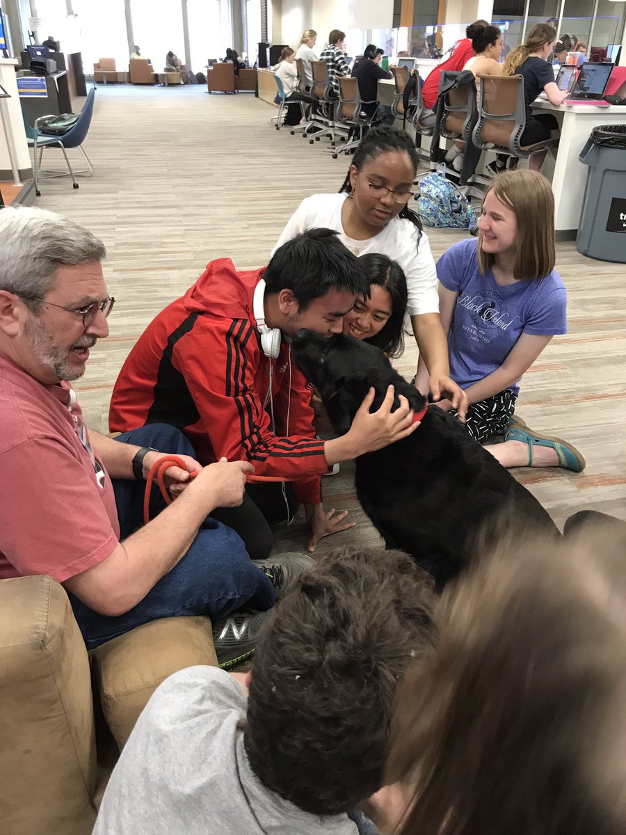 uconnlibrary's tweet photo. Are you in Homer and need a break (other than surfing on Twitter)? Pop on down to the Level 1 Maker Studio for lots of fun stuff to do! Oh. And Summit the black lab will greet you at the top of the stairs. 
#makeuconn #uconnlibrary #finals #stressrelief #studybreak #pawstorelax https://t.co/FpNb3PmPzL