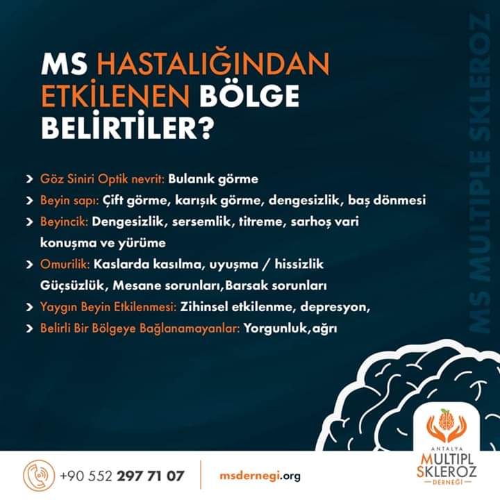 Ms hastalığında etkilenen bölgeler! #ms #MultipleSklerose #MultipleSclerosis #nedir #Antalya