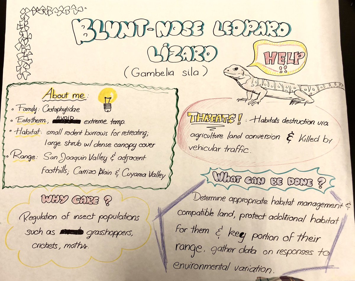 breeput's tweet photo. #herpetology students creating visual conservation campaigns for some threatened/endangered CA herps. Super creative and fun! #LastDaysOfClass #StopIntroductionsNativesNeedToFunction #PesticideIsFrogHomicide https://t.co/i9mV3EuFKm