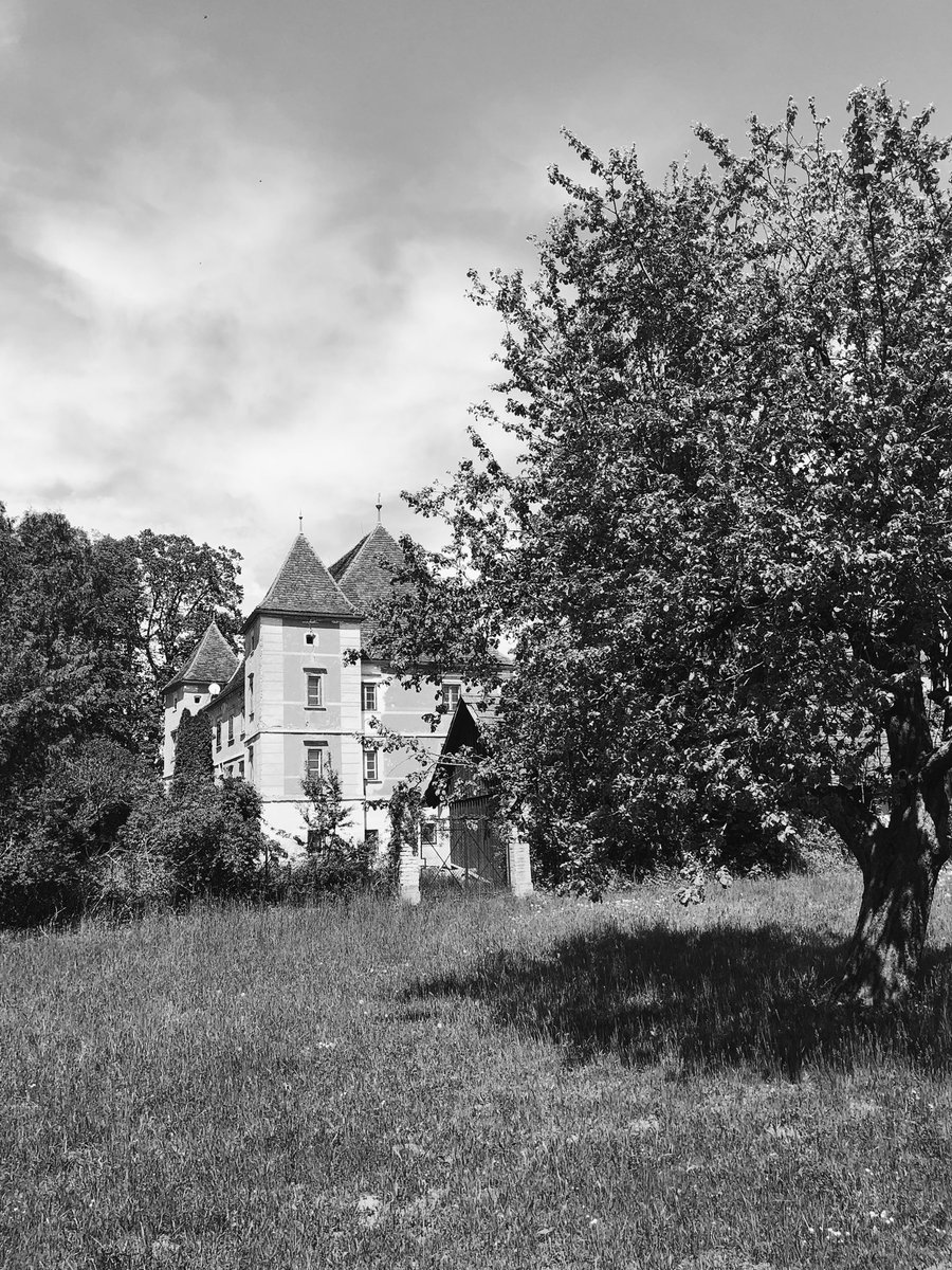 neverthelessflo's tweet image. 