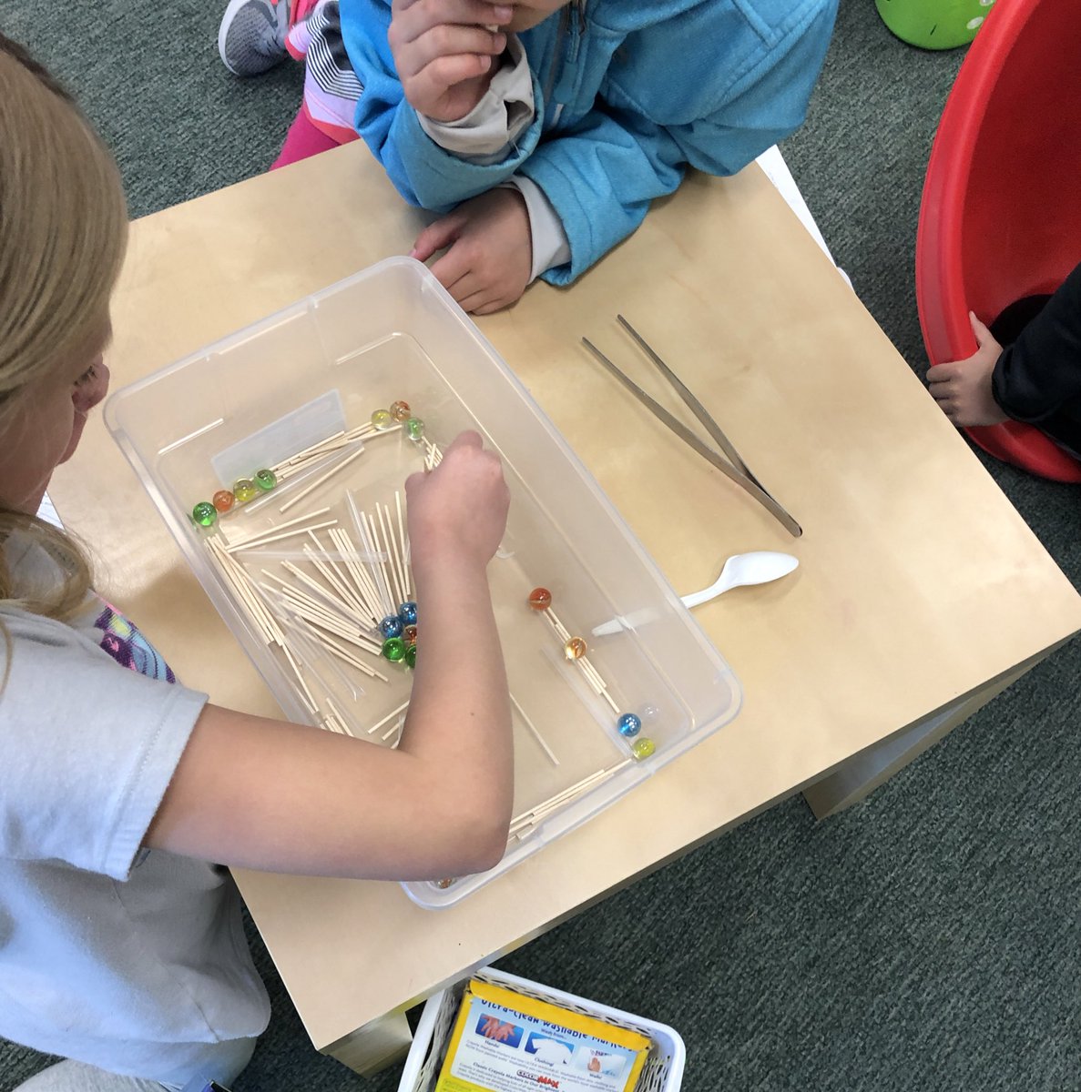 MrsOlsonMES's tweet image. Which Beak is Best? #PLTWLaunch #theMESway