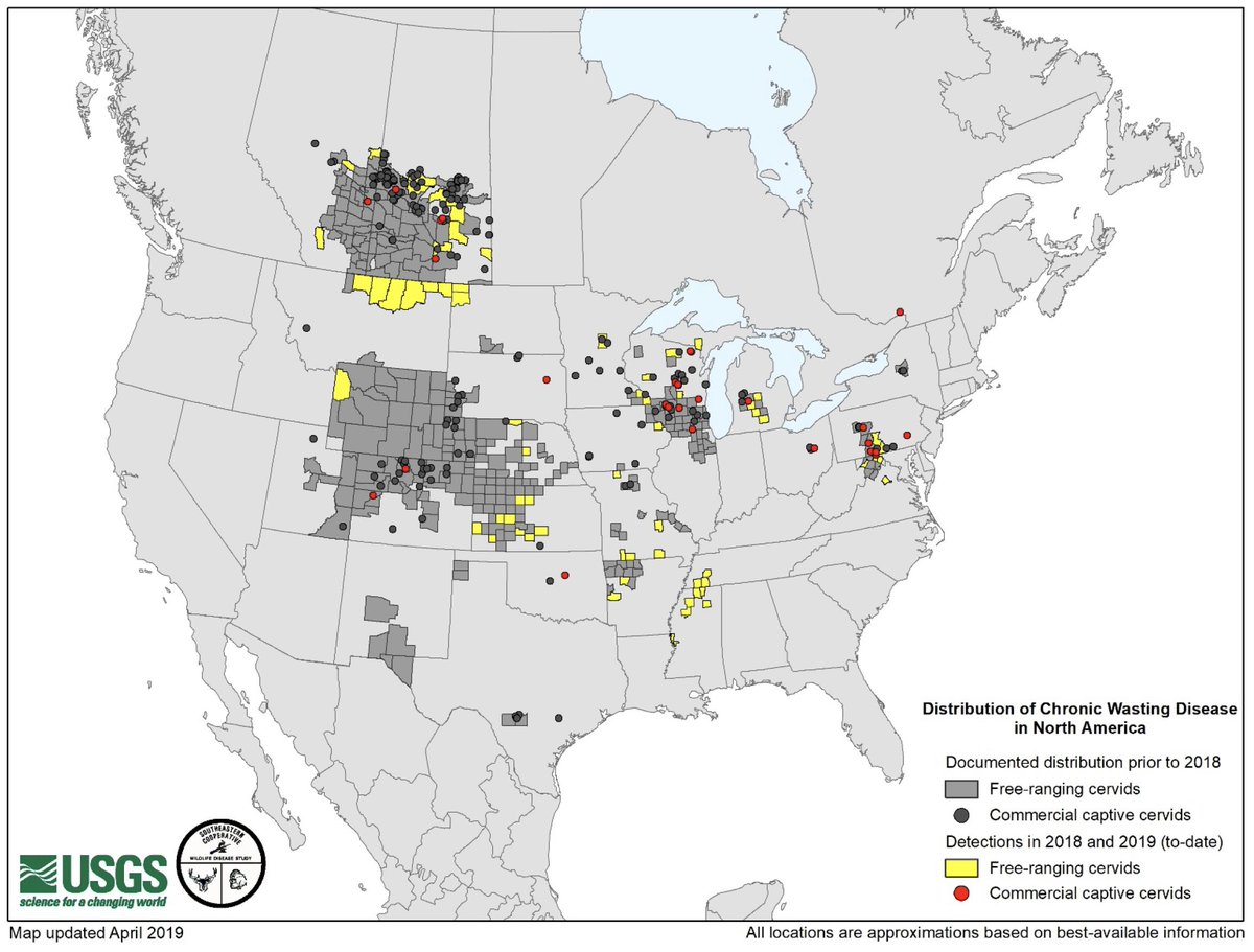 LindsayThomasJr's tweet photo. A new way to look at the CWD map, courtesy of @USGSWILDLIFE. Newer cases in 2018 or to date in 2019 are in yellow for wild deer (counties) and red for captive deer (deer pens). Reveals how CWD continues to creep outward or make jumps to new pens and counties. #KnowCWD https://t.co/cbw0e9QoHm