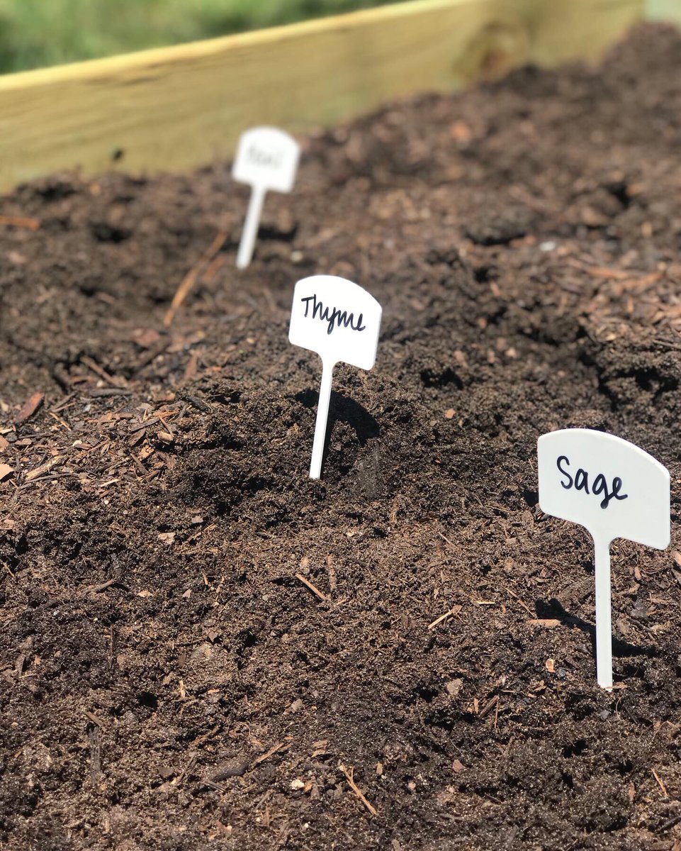 4050LOFTS's tweet image. Check out our new community garden!