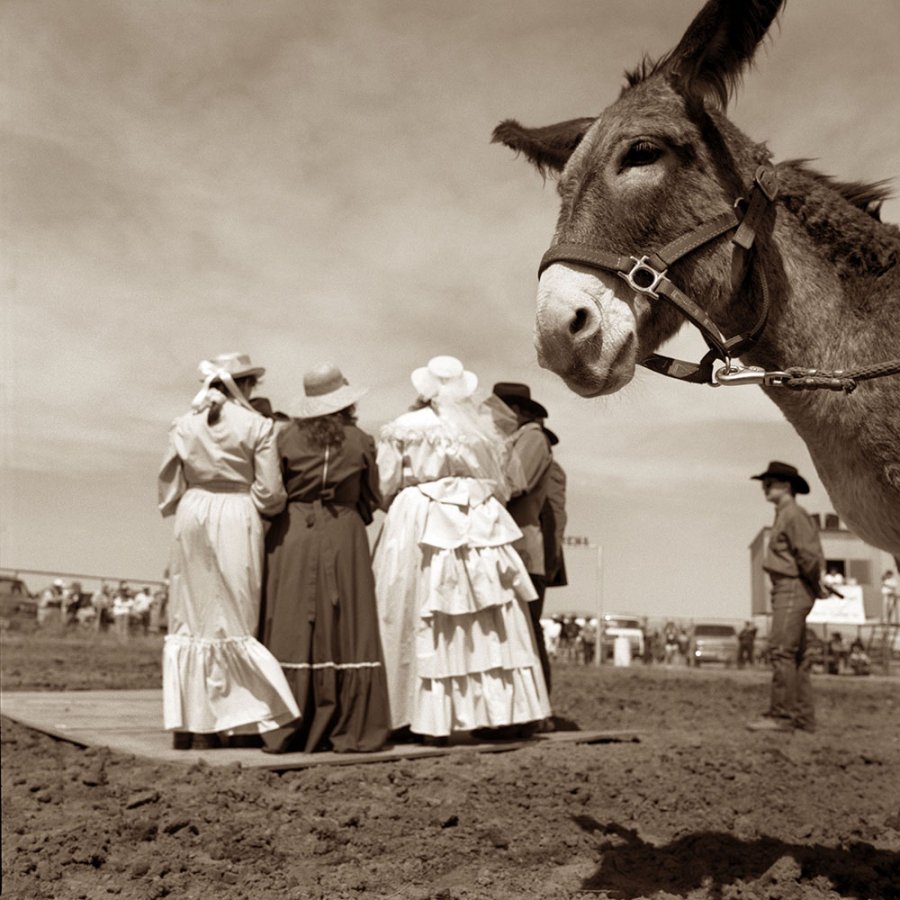 oxfordamerican's tweet image. “But each time I led a buyer to the corral, the llama charged the fence, reared up, and sprayed us with a hot shower of spit.”

—From “How Not to Raise Llamas,” a Points South piece by David McDannald from our archives. Art by @James_H_Evans #Issue92 ow.ly/85Ye30oEDzr