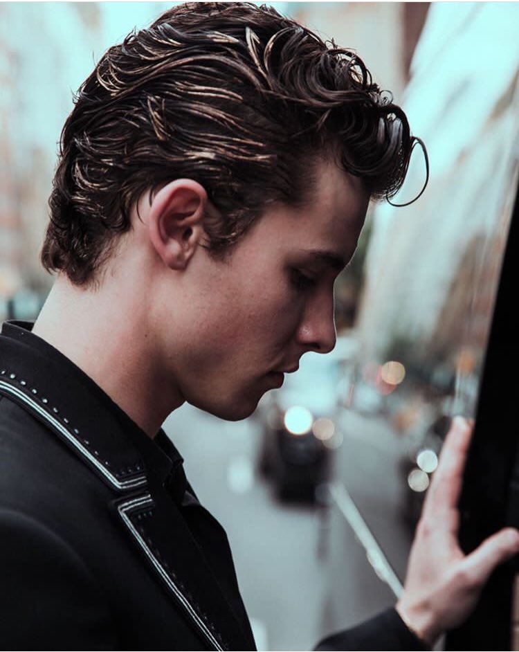 Shawn Mendes France tweet media