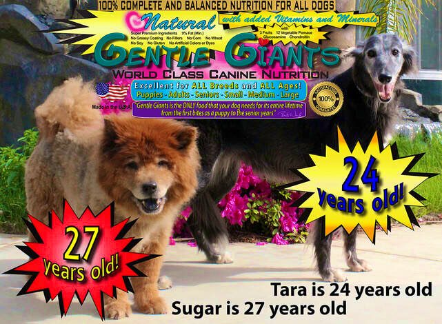 Wow!! 🤡🌈✨pAcKaGiNg DeSigN WiTh nO RuLeS 🐕💥👏🏻