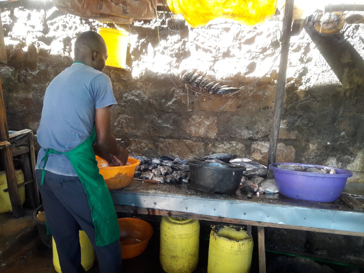 Informative session with the Kisii fishmongers who are working with <a href="/FarmAfrica/">Farm Africa</a> on market linkages. Consistent fish supply is a key factor in determining success of their #business. Fish farmers therefore have to recognise this and keep up with this demand. <a href="/NLinKenya/">Netherlands Embassy in Kenya</a>