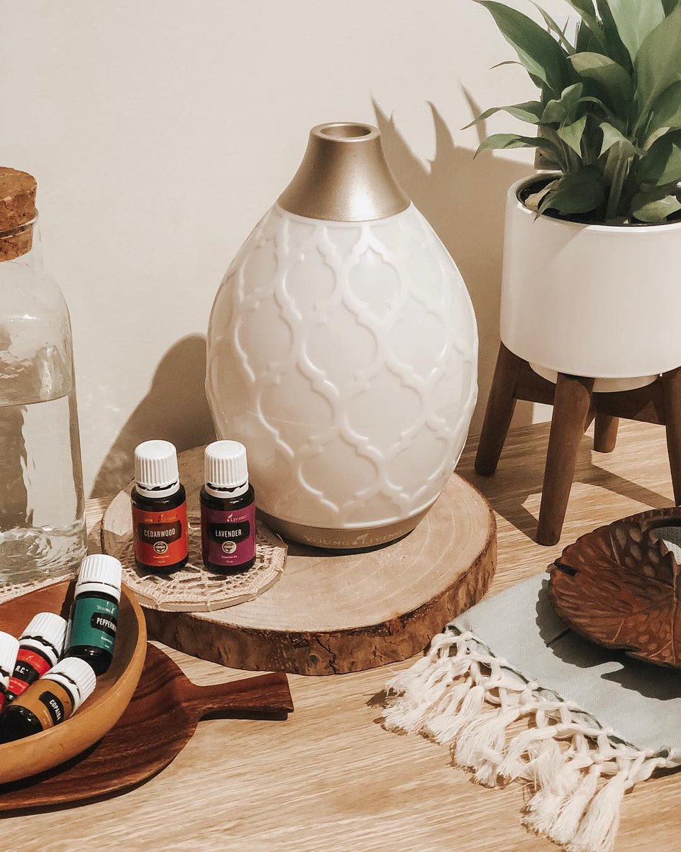 younglivingeoau's tweet photo. Try diffusing this floral woodsy blend to create an elevated spiritual experience: 3 drops Cedarwood and 3 drops Lavender! 💐🌱
 📷: @a.mellow.mumma Shop Now: https://t.co/TOdUjqVtfQ
#yleoaunz #essentialoils #DesertMistDiffuser https://t.co/gsgPNRZVXZ