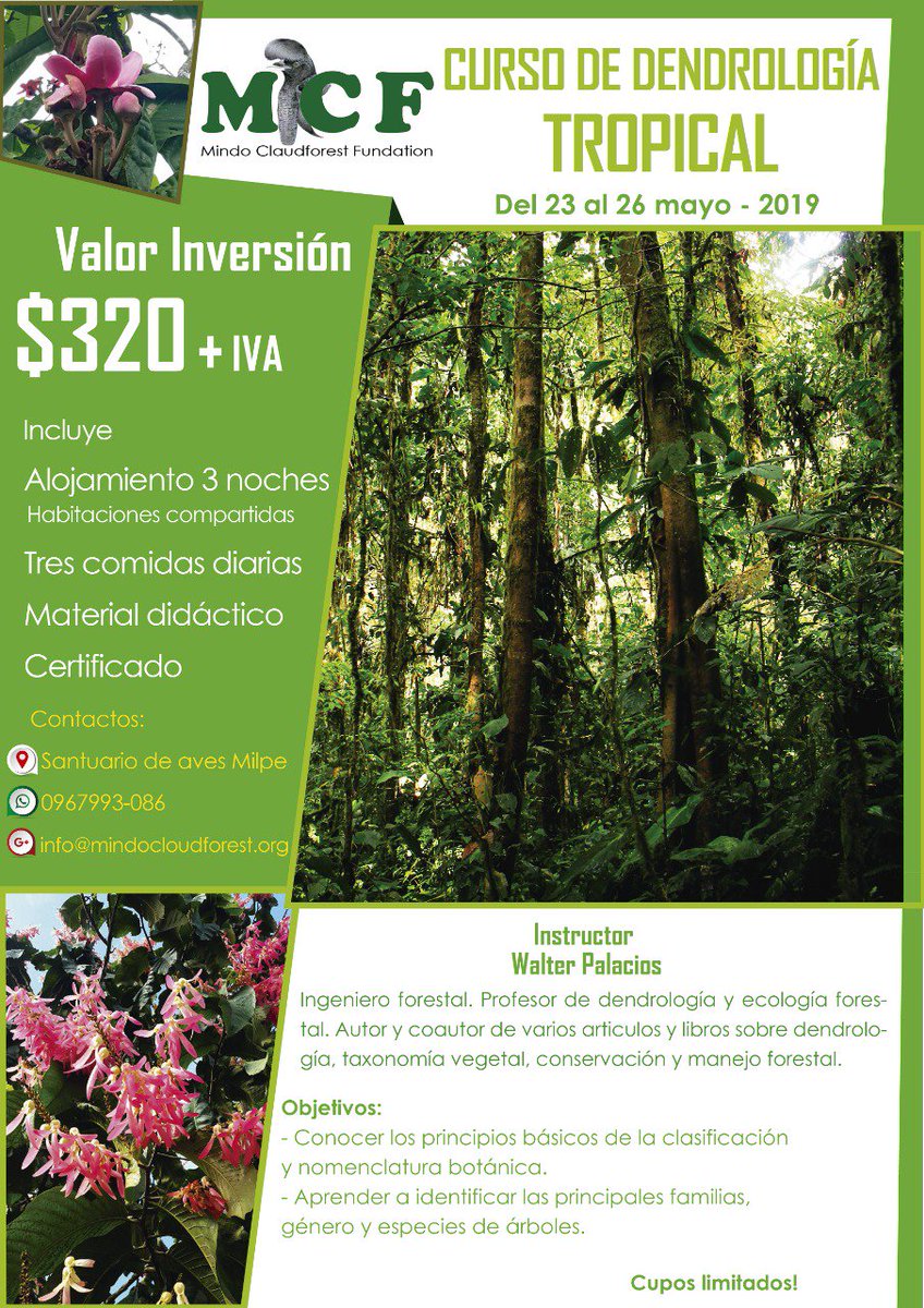 Quieres aprender más de los árboles y cómo identificarlos? Inscríbete en nuestro curso de Dendrologia tropical. Aún tenemos cupos disponibles!