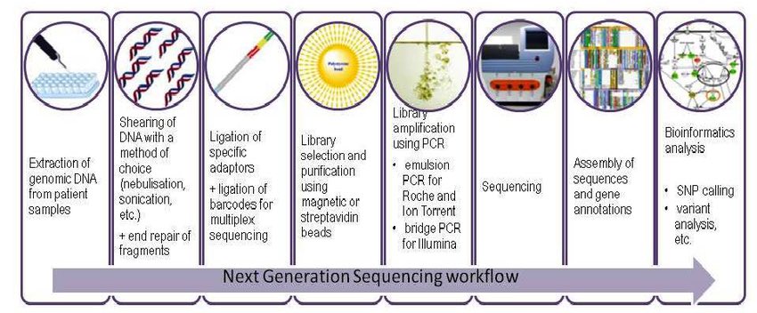Libs method. Iskeydown greenfoot. Класс math java. Библиотека math log. Ngs sequencing illumina.