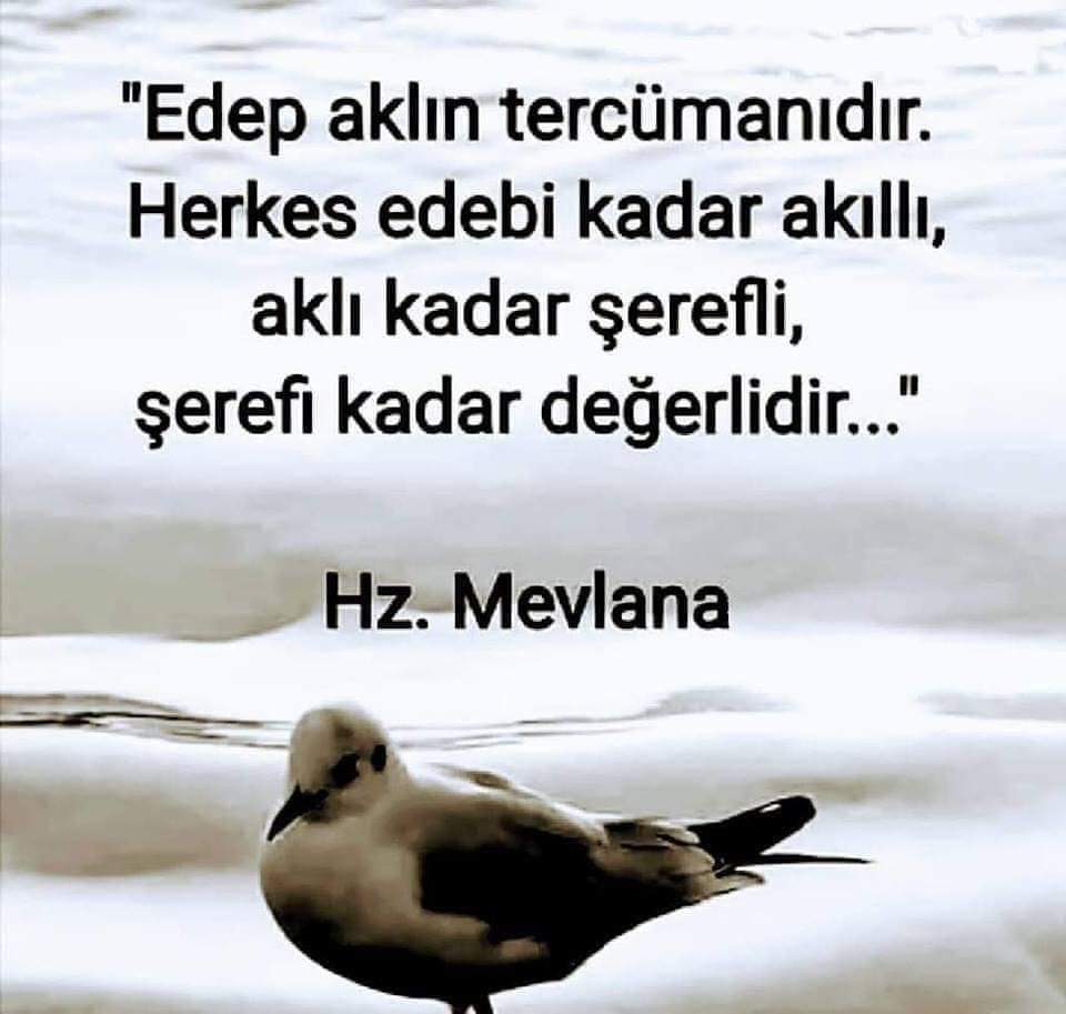 BARTIN KULİS (@bartinkulis) on Twitter photo 