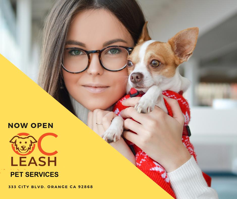 ocleashpets's tweet photo. Looking for a safe , professional and easy way to provide your four legged friend with regular walks, pet care and shuttle services? with OC LEASH LLC in the city of Orange, you can do all that and more @ocleashpets https://t.co/pYFrxmM69l