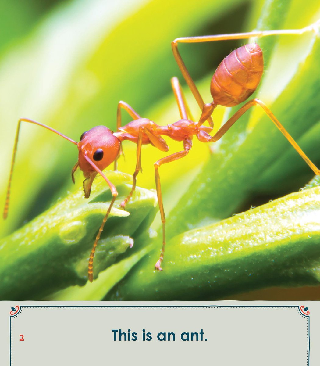 ARC Press tweet media