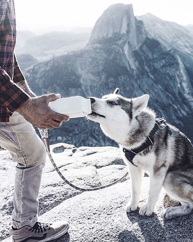 A dog is the only thing on earth that loves you more than he loves himself.

#hikingwithdogs #hikingwithdog #adventuredog #dogsthathike #dogsonadventures #dogsonadventure #hikingdogsofinstagram #hikingdogsofinsta #awesomeearth #bestnatureshots #earthcapt… bit.ly/2JlxDdW