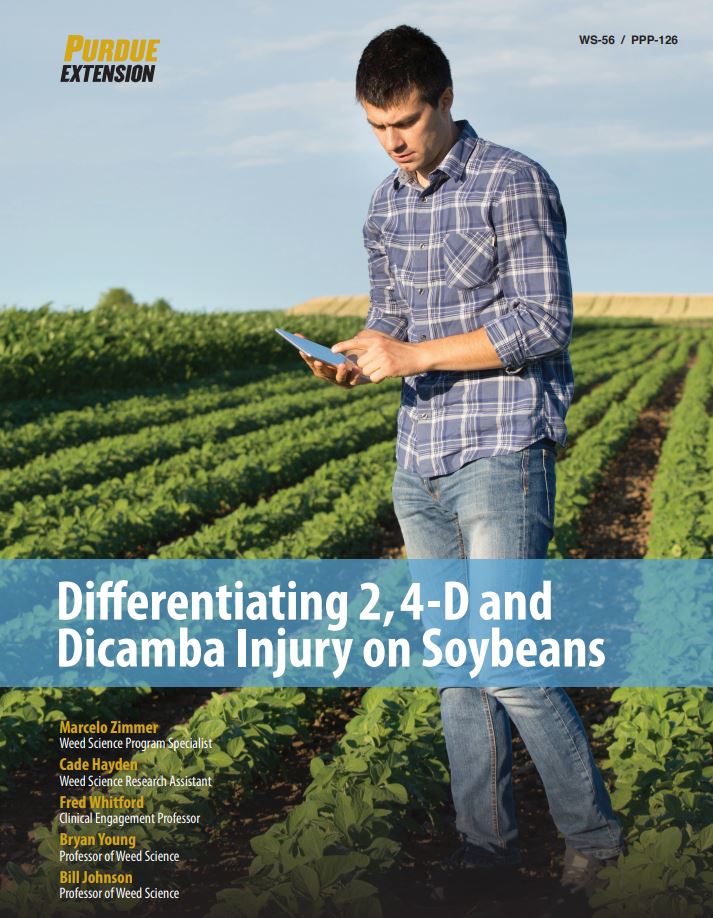 BillJohnson53's tweet photo. Differentiating dicamba and 2,4-D injury in soybean. New pub by the Purdue Weed Science Crew. #purdueextension #purdueagriculture  
https://t.co/mMb8oqzA71 https://t.co/wiWcPAGmm6