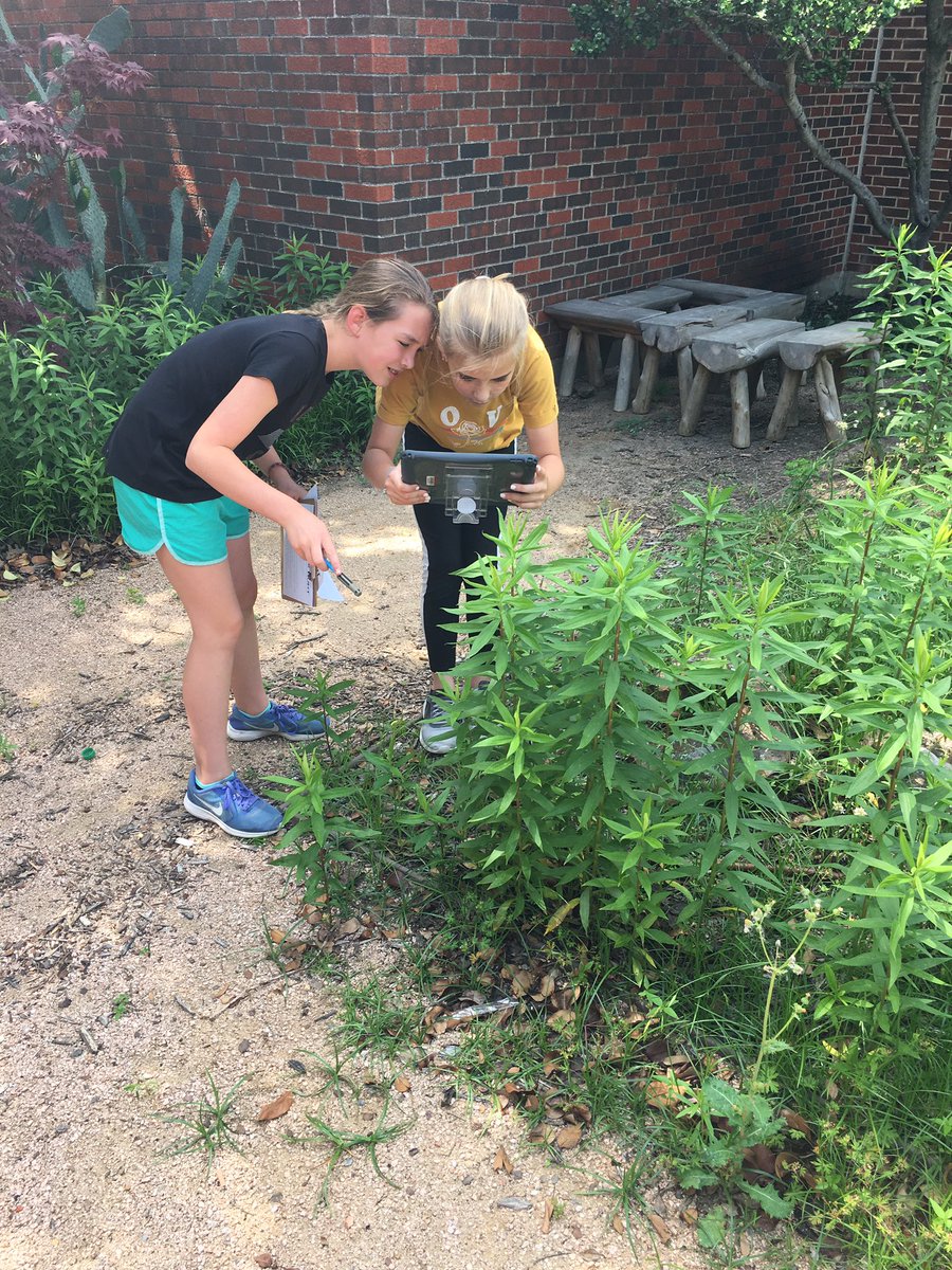 booklove717's tweet image. When your sweet tutoring girls vote to have one more week of tutoring, of course it has to be a fun activity. We’re on an “Ecosystem Interactions Scavenger Hunt.” #lherocks #sciencematters #betterthanaworksheet
