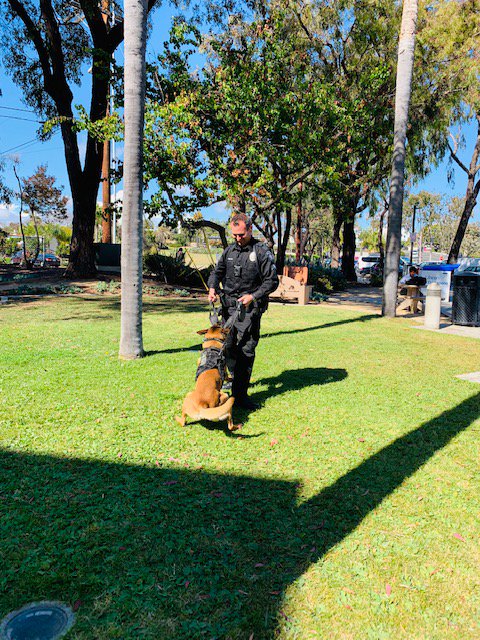 carlsbadlibrary's tweet photo. Thank you @CarlsbadPolice for visiting @carlsbadlibrary during Tween Scene. We loved meeting Corporal Cosgrove and Axel of the city's K-9 unit. For more awesome children, tween and teen programming, visit https://t.co/iqas79x6ha. #publiclibraries #tweenscene #read #tweensarecool https://t.co/jn7V1oOMIM