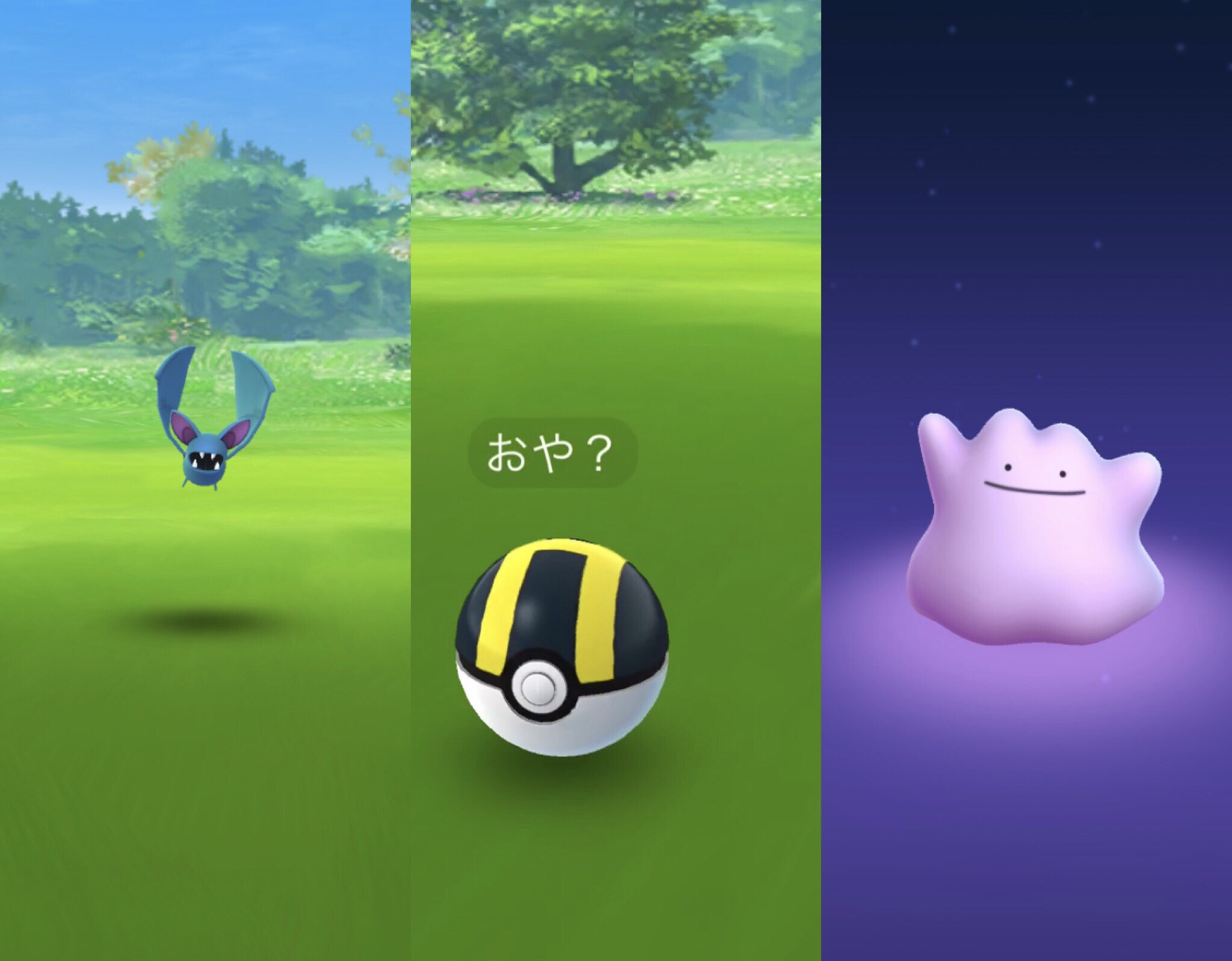 تويتر ひかぴか 目標 色違いアンノーンコンプ على تويتر Poke Go Eno ズバット捕獲後 メタモンになりました 映画観ていないので つめが甘かった T Co Fqc0dubkyv