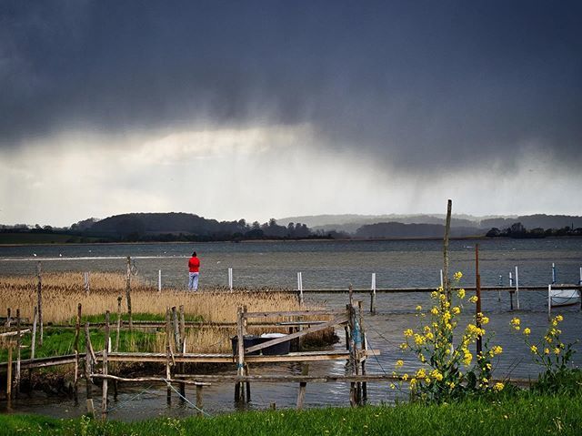 zumseL's tweet photo. danish all-in-one weather
.
#urlaub #rotkäppchen #farbtupfer #hejlsminde #holiday #familytime #denmark #rain #sunshine #changingweather #qualitytime #phototour #nature #flowers https://t.co/1X1462FfKF