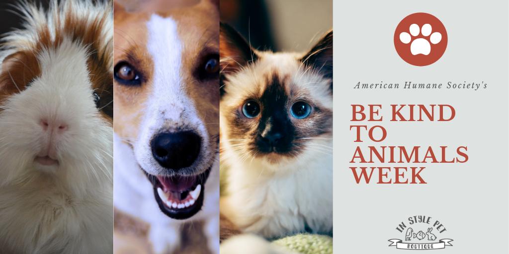 InStylePet's tweet image. Did you know that it&apos;s #BeKindToYourPet week? Check out this list of no-so-usual ways people pamper their dogs. Inspirational, or frivolous? You decide! #PamperedPet bit.ly/2GTh06C