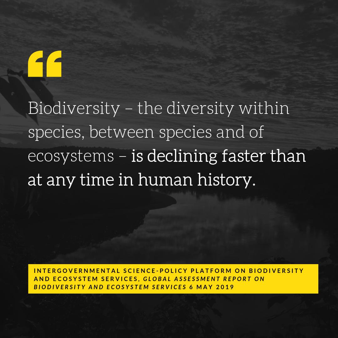 Alex Sacco, PhD 🪩 tweet media