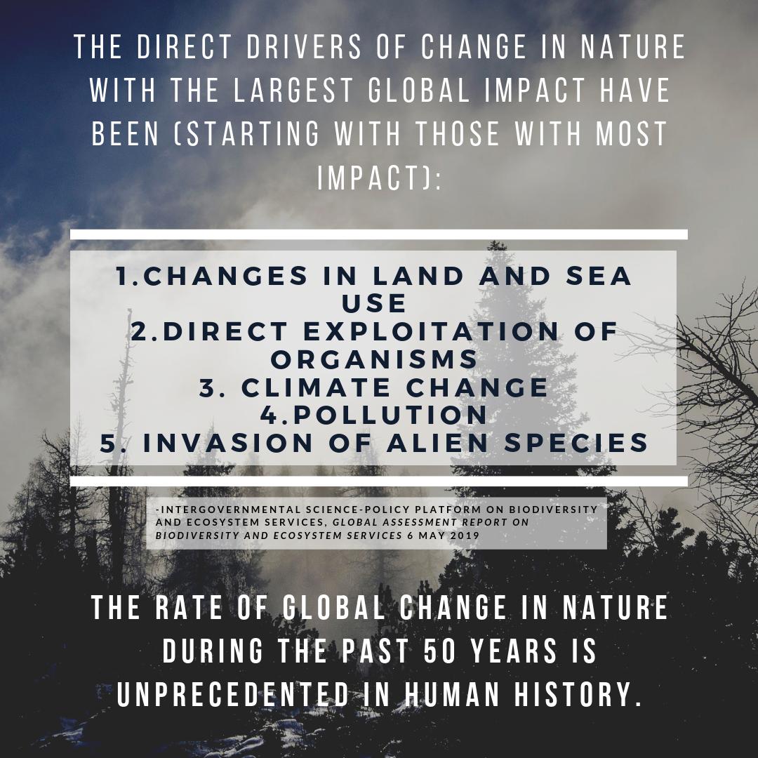 Alex Sacco, PhD 🪩 tweet media