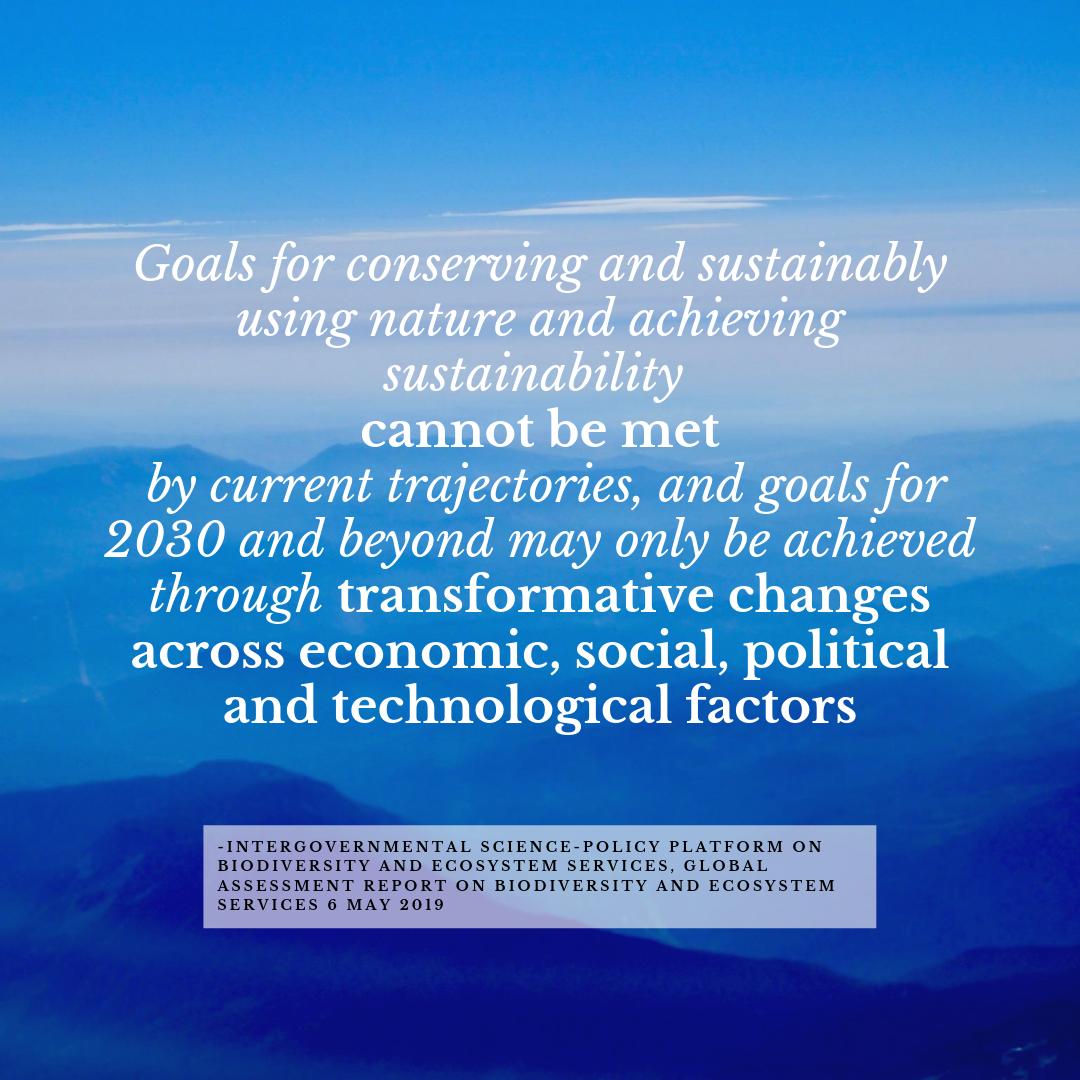 Alex Sacco, PhD 🪩 tweet media