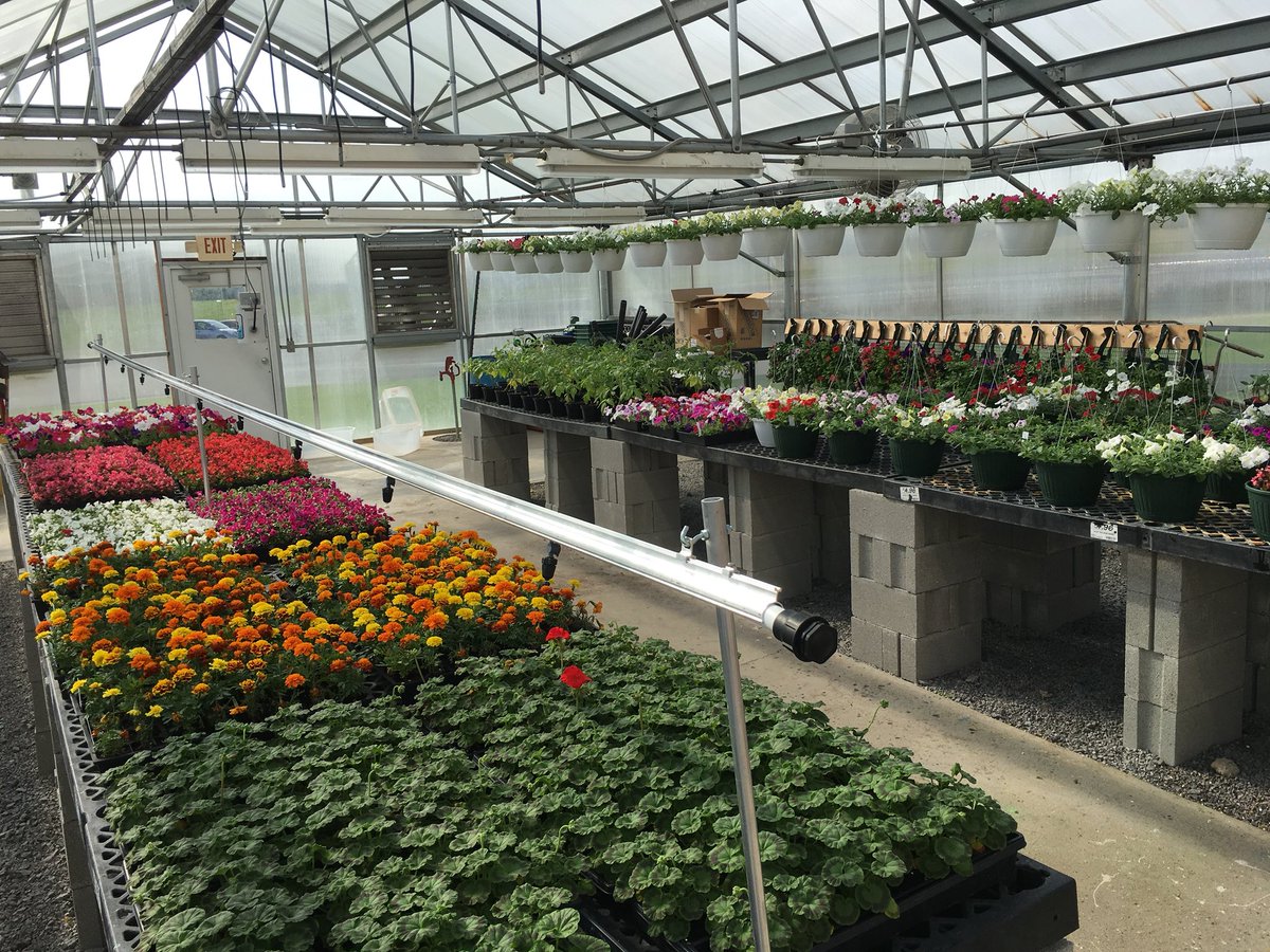 BenloganFFA's tweet photo. Plants grown BY the kids, FOR the kids! Our annual Mother’s Day Flower Sale is this Thursday and Friday. First come first serve. All proceeds go to student scholarships and events and activities https://t.co/whE08ieLhH