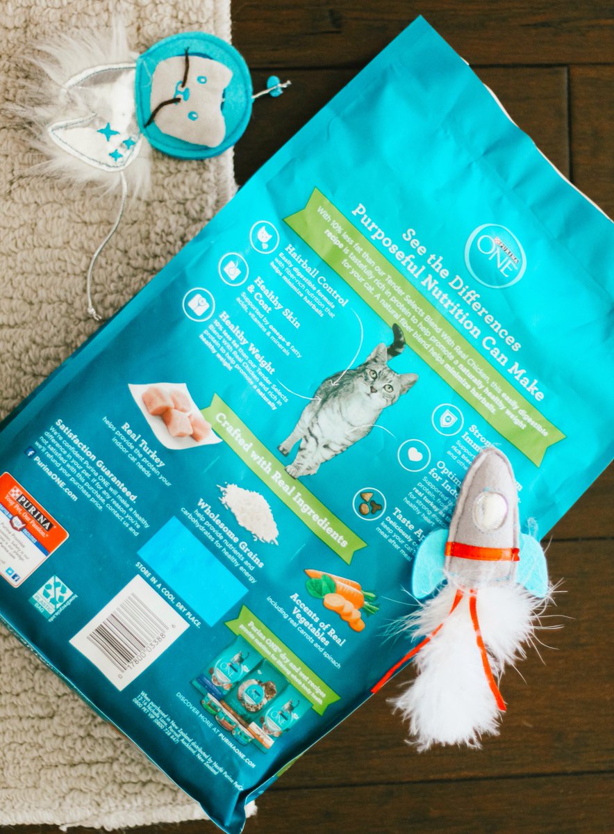 the_southerly's tweet photo. How are we still loving @PurinaONEcat from @Walmart ? Beyond the 28 Day Challenge has been even better than expected!  🐱#PONEVisibleDifferences #PurinaONEPets #Purina28DayChallenge #Ad
----> https://t.co/glbUfZudu8 https://t.co/hF2cDcEp0h