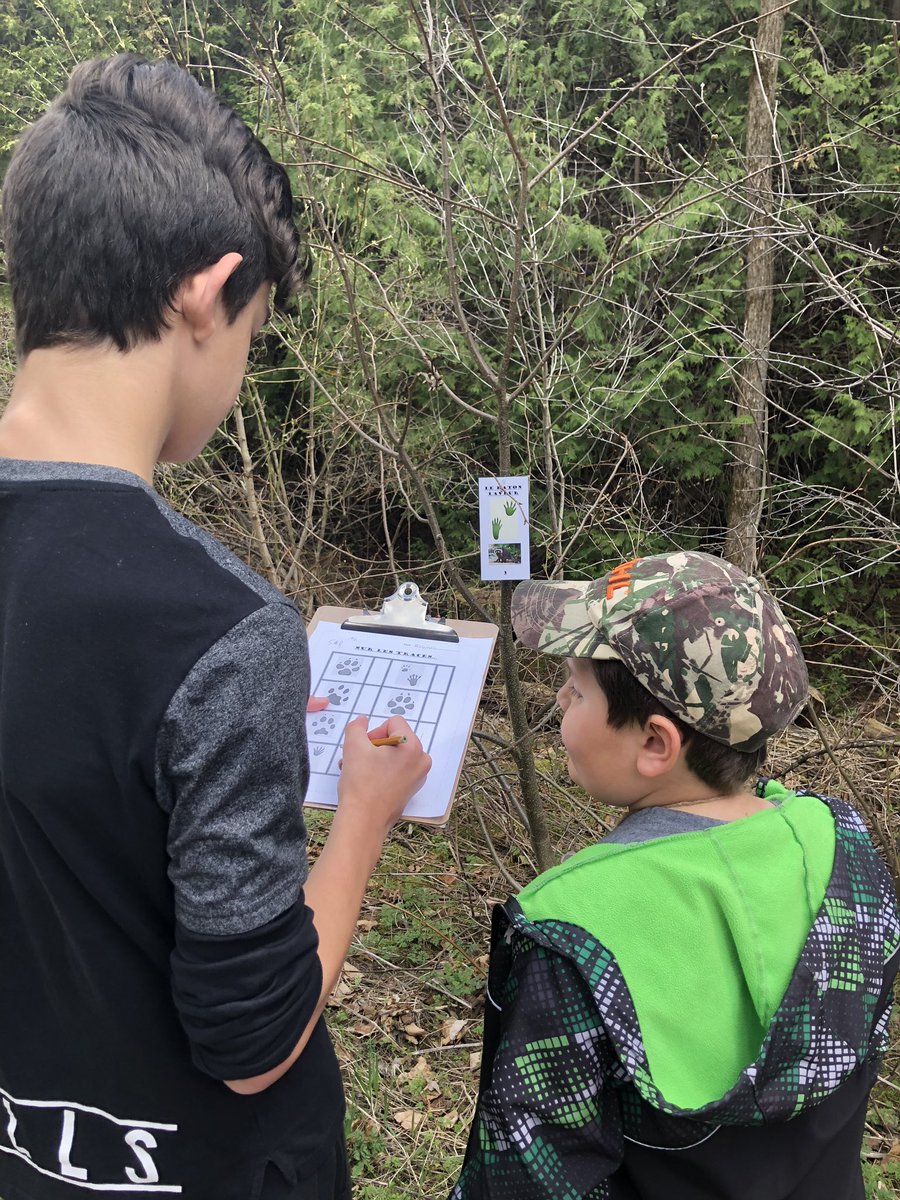 MmeChanelH's tweet photo. En après-midi, nos campeurs sont partis en randonnée sur le sentier derrière l’école à la recherche de traces d’animaux. Merci aux grands de 8e qui nous ont accompagné! #classroomtransformation #Jour2 #SantémentaleCECCE @smbkemptville https://t.co/KroYqk15wx