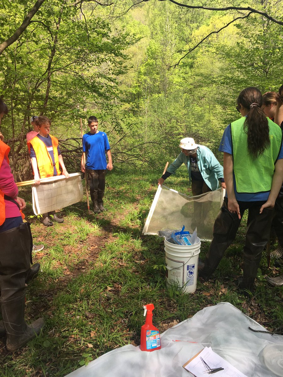 zanolith's tweet photo. Beautiful day @WallaceRun with ⁦@TeenShaleNet⁩ performing #macro surveys to characterize stream quality near the abandoned well.  Thank you Genie for teaching us! https://t.co/Oc43bRqZBG