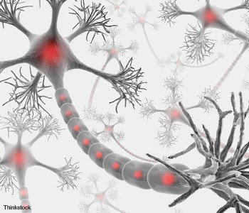 OPNmagazine's tweet image. OSA Fellow Chris Xu showed how 3-photon imaging is allowing unprecedented views of brain activity at #CLEO2019 #NeuralImaging
ow.ly/KBUC50u2iXV