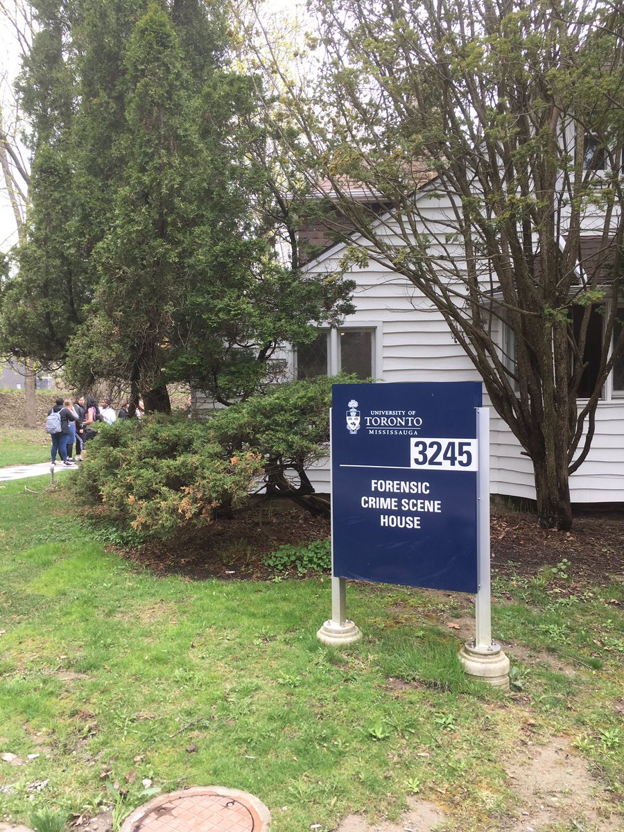 Lynn Cope tweet media