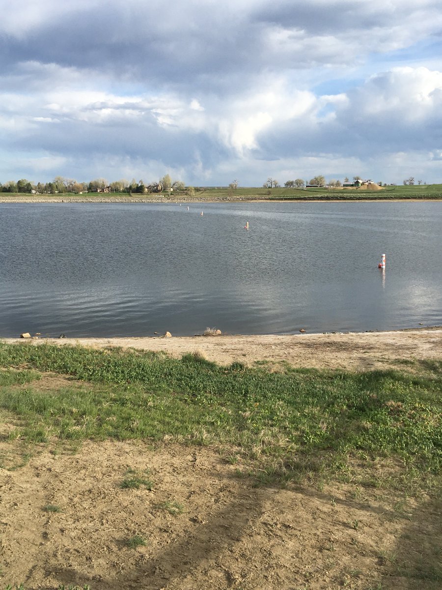 biologistdave3's tweet photo. It is osprey time &amp; closure time at #LagermanAgriculturalPreserve Shorebirds (I counted 30+ American Avocets on Saturday) love the shallow west end of the lake - inside the closure.  Please respect it for them and for hatching osprey chicks. Check the #ospreycam at Fairgrounds https://t.co/1thKW3coj6