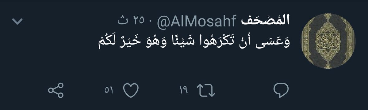 K 👷🏼‍♂️ tweet media