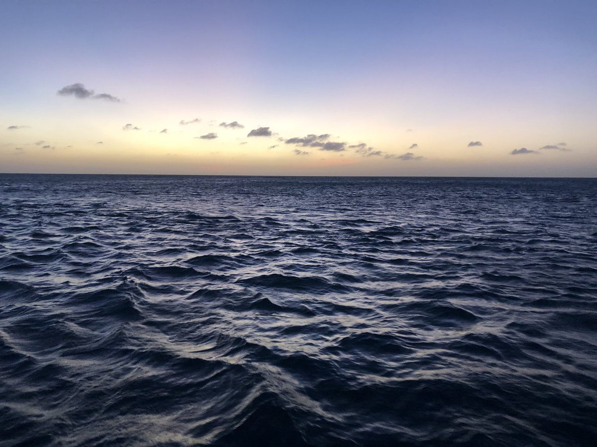 Sunset in Aruba #sunset #aruba #palmbeach #naturalbeauty #sunsetsail #travel #passport #passportrequired #passportstamps #justgo #amazingplacestovisit @arubamarriott @VisitAruba @aruba @RedSailAruba @ArubaNetworks @1happyisland_  📸: @travelbuggin