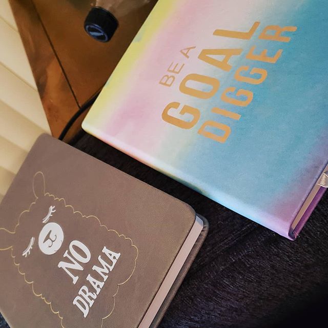 ReneeMacalyn's tweet image. Some new journals for daily use and gratitude. So cheap from Craft Warehouse.
#gratitude #dailyjournaling #cheapnotebooks #springtime bit.ly/2vIeXgB