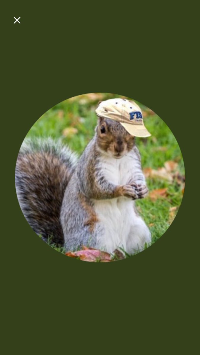 superwebb4's tweet image. Now this is just playin. Even the TSU squirrels are ghetto as hell. 😂