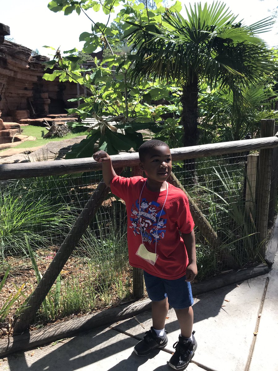 the_brandygrl75's tweet photo. Zoo fun with @Killian_STEAM kinders! Such a beautiful day to explore. @franklinscsu @PaigeMaloneKES @gore_mgore #zooexploration https://t.co/Ro9cVFzJoO