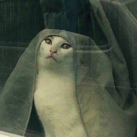 poorlycatdraw's tweet photo. tell cersei, i want her to know it was me https://t.co/tLAhfQYBcU