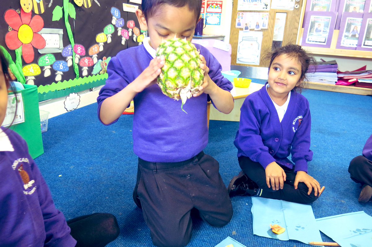 misssmythe_HT's tweet photo. Inspired by the ‘The Very Hungry Caterpillar’ we enjoyed exploring and tasting different fruits 🍍🍊🍎🍏🍓 “the pineapple is so spiky and so heavy. I’m so strong.....this one is smooth but this one is spiky...” #EYFS #earlyyears #EY #EYtalking #inspiredtalk https://t.co/7lrvpHLxVD