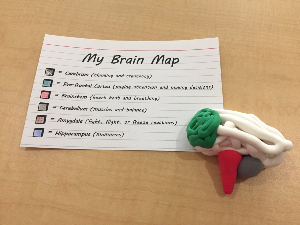 kim_thordarson's tweet image. SOS students from @hastingsLRSD celebrating peer leadership! Thanks @ElaineSolinski @maynardlrsd for organizing!!