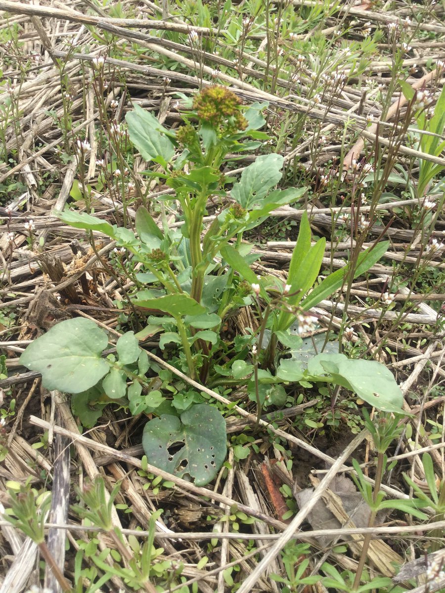 DialloSalioub's tweet image. Apprentissage en plein air #AppEx
@CanConnectEd